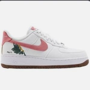 Fig 2 Catechu Nike Air force ones